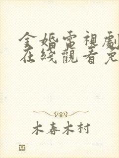 金婚电视剧全集在线观看免费播放