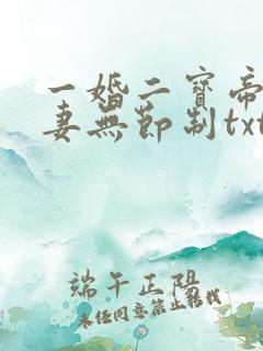 一婚二宝帝少宠妻无节制txt下载
