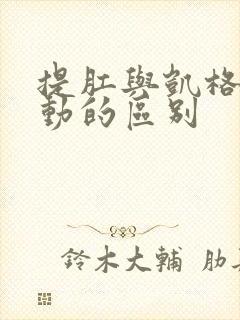 提肛与凯格尔运动的区别