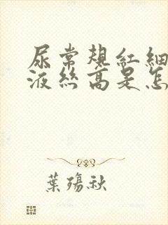 尿常规红细胞粘液丝高是怎么回事