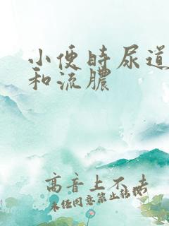 小便时尿道刺痛和流脓