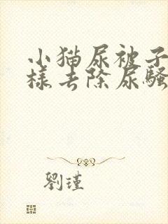 小猫尿被子上怎样去除尿骚味