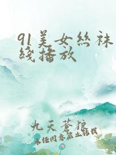 91美女丝袜在线播放