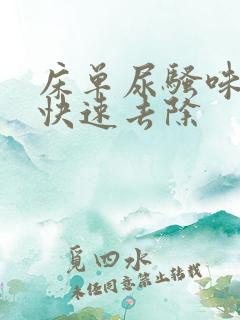 床单尿骚味怎么快速去除