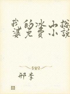 我的冰山总裁老婆免费小说