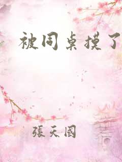 被同桌摸了下面