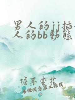 男人的jj插女人的bb动态图