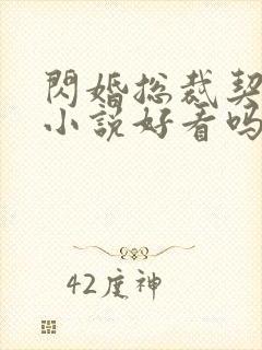 闪婚总裁契约妻小说好看吗