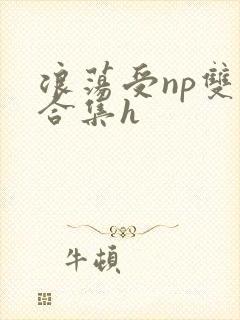浪荡受np双性合集h