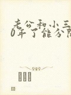 老公和小三有10年了能分开吗