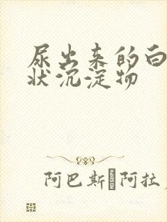 尿出来的白色絮状沉淀物