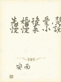 先婚后爱,楚少慢慢来小说