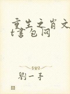 重生之肖文txt书包网