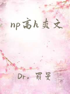 np高h爽文