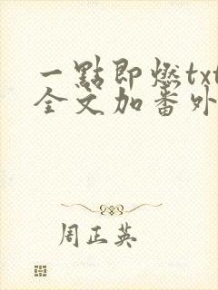 一点即燃txt全文加番外