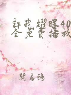 许我耀眼40集全免费播放