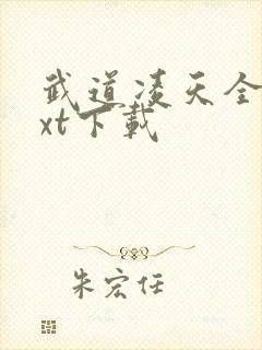 武道凌天全本txt下载