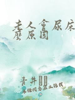 老人会尿床是什么原因