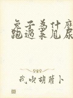 兔子为什么突然跑过来甩尿