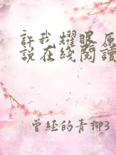 许我耀眼原著小说在线阅读