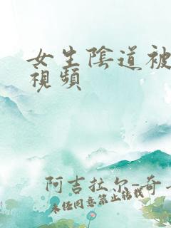 女生阴道被插的视频