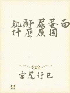 肌酐尿蛋白高是什么原因