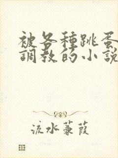 被各种跳蛋露出调教的小说