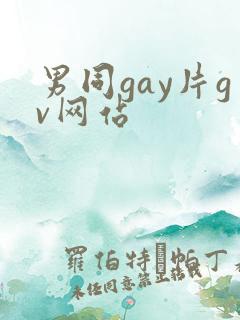 男同gay片gv网站