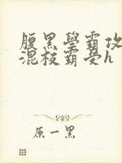 腹黑学霸攻×混混校霸受h