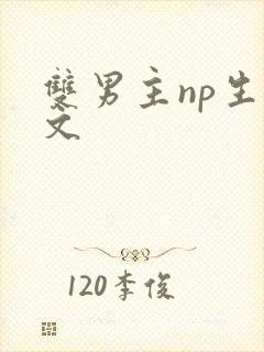 双男主np生子文