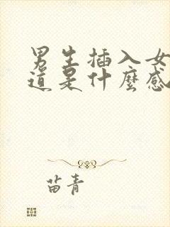 男生插入女生阴道是什么感觉