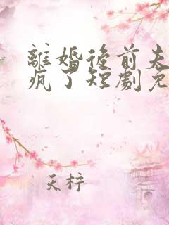 离婚后前夫他追疯了短剧免费观看