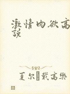 激情肉欲高潮小说