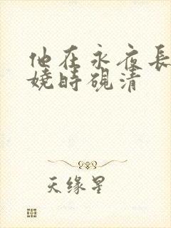 他在永夜长眠苏娆时砚清