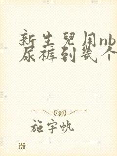 新生儿用nb纸尿裤到几个月可以