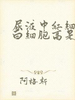 尿液中红细胞和白细胞高是怎么回事