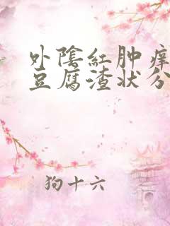 外阴红肿痒伴有豆腐渣状分泌物