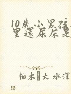 10岁小男孩夜里还尿床是怎么回事