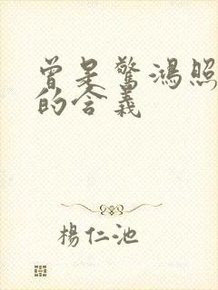 曾是惊鸿照影来的含义