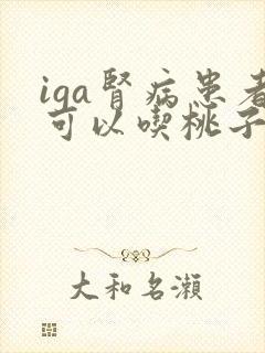 iga肾病患者可以吃桃子吗