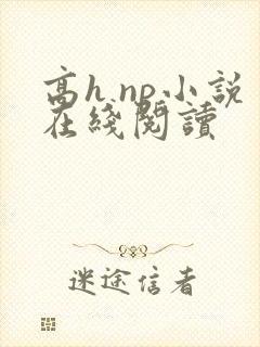 高h np小说在线阅读