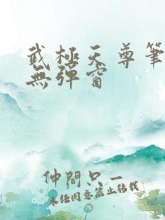 武极天尊笔趣阁无弹窗