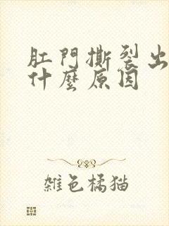 肛门撕裂出血是什么原因