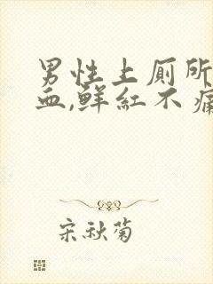 男性上厕所拉出血,鲜红不痛怎么办