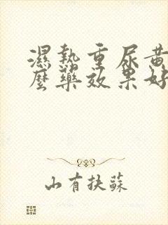 湿热重尿黄吃什么药效果好