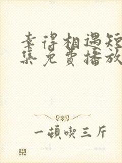 幸得相遇短剧全集免费播放在线观看