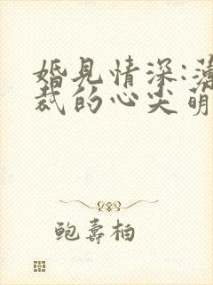 婚见情深:薄总裁的心尖萌妻