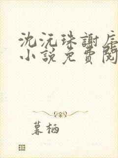 沈沅珠谢序川的小说免费阅读全文