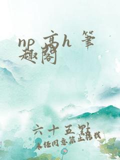 np 高h 笔趣阁