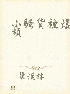 小骚货被爆操视频